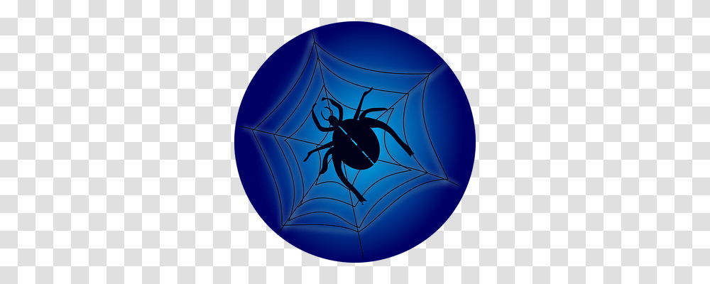 Crawl Animals, Lamp, Spider Web, Invertebrate Transparent Png