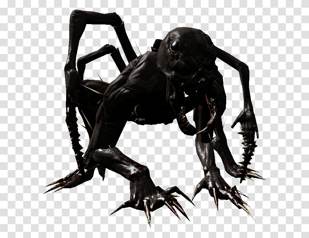 Crawler Spider, Alien, Person, Animal Transparent Png