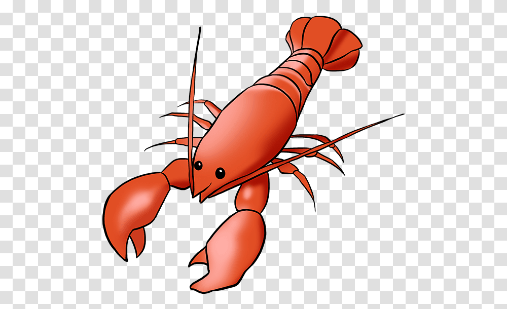 Crayfish Clipart Lobster Drawing, Seafood, Sea Life, Animal, Crawdad Transparent Png