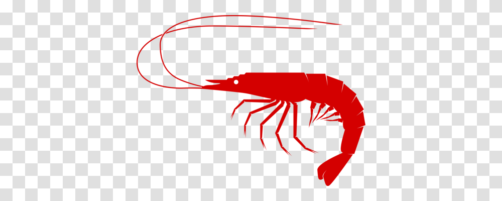 Crayfish Crustacean Lobster Louisiana Crawfish Seafood Free, Animal, Sea Life, Crawdad, Shrimp Transparent Png