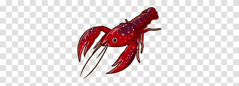 Crayfish Little Dragons Wiki Fandom Powered, Animal, Sea Life, Seafood, Amphibian Transparent Png