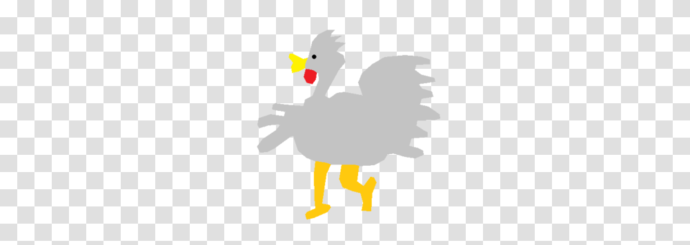 Crazy Rooster Free Images, Bird, Animal, Poultry, Fowl Transparent Png