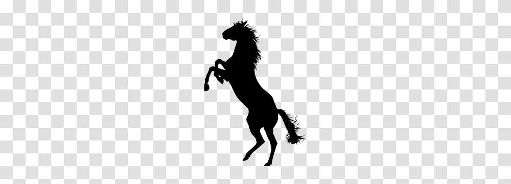 Crazy Wild Horse Sticker, Silhouette, Stencil, Mammal, Animal Transparent Png