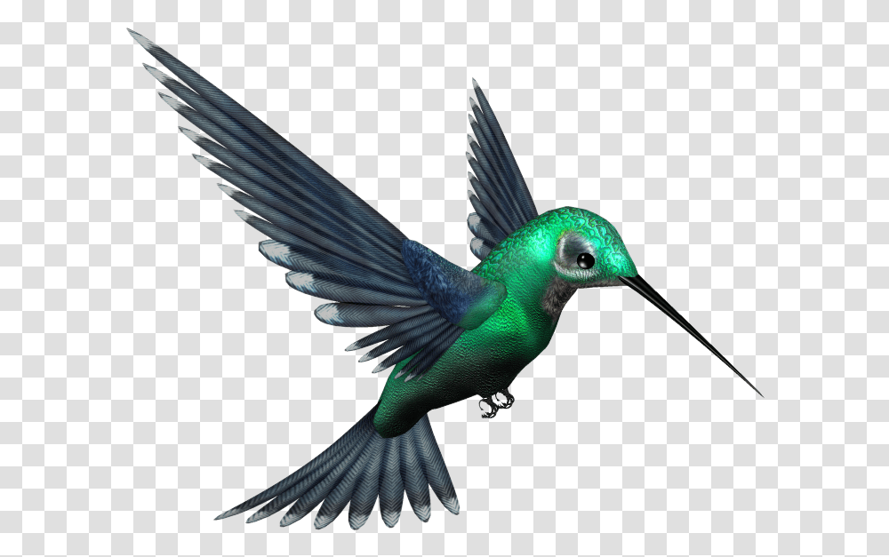 Crazypng Picsart Bird Hd, Animal, Bee Eater, Hummingbird, Jay Transparent Png