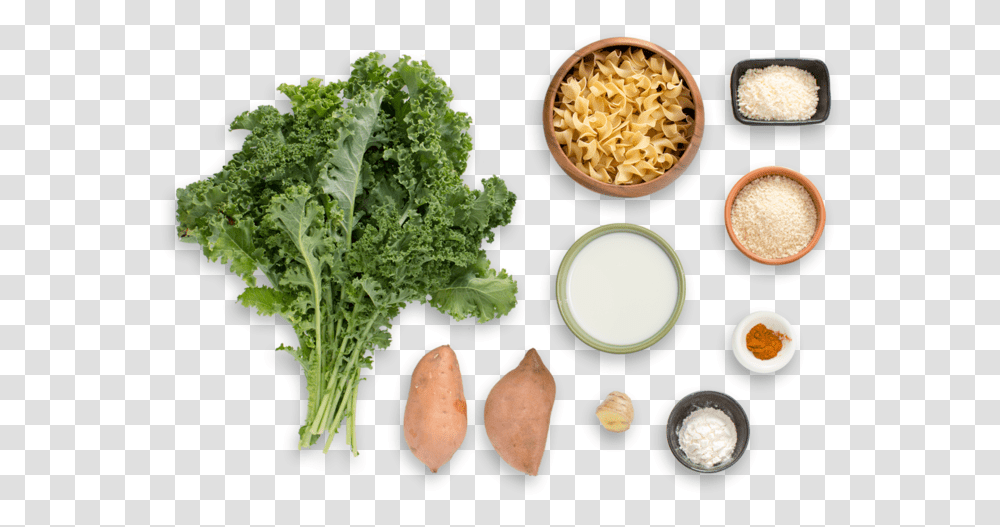 Creamy Sweet Potato Amp Kale Casserole With Spiced Coconut Cooking Spices, Plant, Vegetable, Food, Cabbage Transparent Png