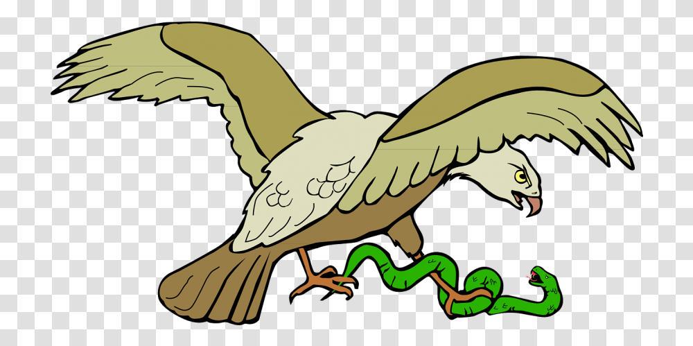 Create A Small Discordpy Bot To Deploy Server Systems Eagle Eating Snake Clipart, Vulture, Bird, Animal, Pigeon Transparent Png