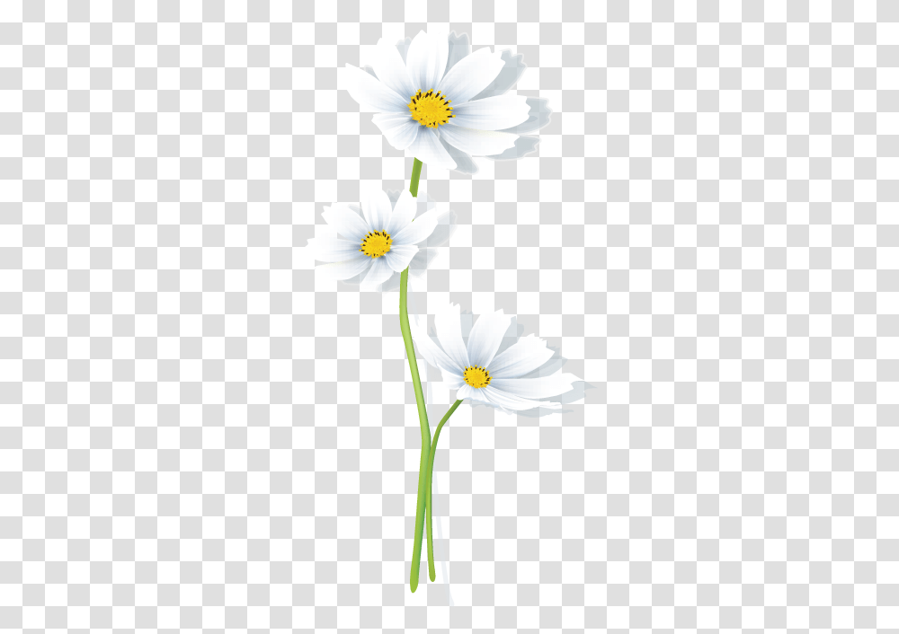 Create Your Own Flower Logo Free Daisy Logo Templates Oxeye Daisy, Plant, Blossom, Anemone, Daisies Transparent Png