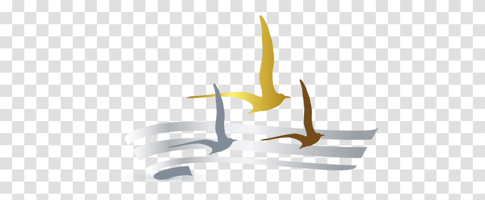 Create Your Own Seagulls Logo Online Using Maker Bird, Text, Animal Transparent Png