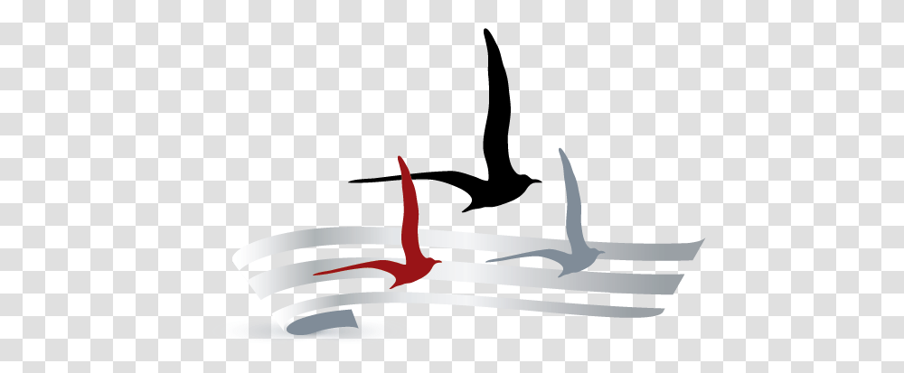 Create Your Own Seagulls Logo Online Using Maker Flying Bird Silhouette, Vehicle, Transportation, Outdoors, Barbed Wire Transparent Png