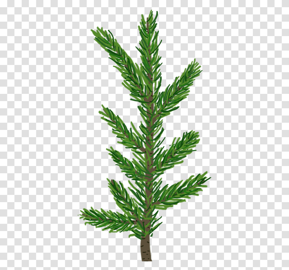 Creating A Pine Tree In Unity Pine Tree Pine Leaves, Bush, Vegetation, Plant, Grass Transparent Png