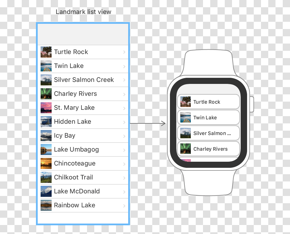 Creating A Watchos App - Swiftui Tutorials Apple Developer Swiftui Apple Watch, Text, Digital Watch, Wristwatch Transparent Png