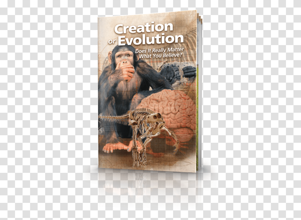 Creation Or Evolution Do You Believe In Creation, Poster, Advertisement, Person, Human Transparent Png