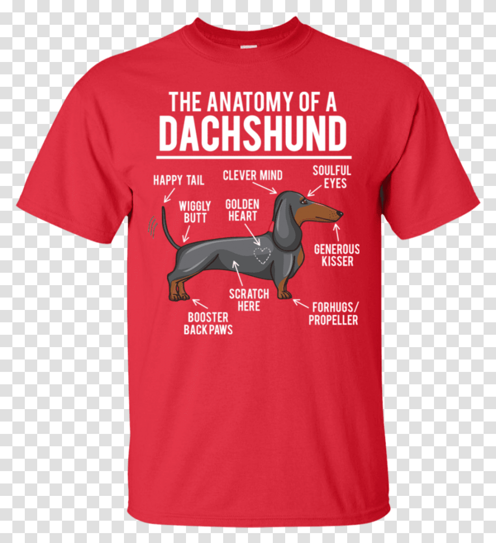 Creations Capitol Anatomy Of Dachshund Clever Mind Woodstock T Shirts 50th Anniversary, Apparel, T-Shirt, Sleeve Transparent Png