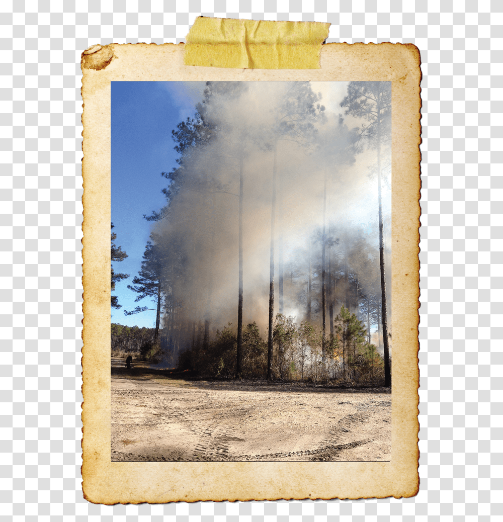 Creative Arts, Fire, Smoke, Forest Fire, Painting Transparent Png