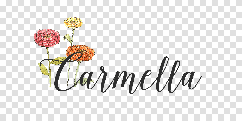 Creative Carmella Shop, Plant, Flower, Blossom Transparent Png