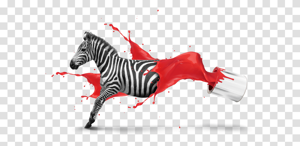 Creative Design Images, Zebra, Wildlife, Mammal, Animal Transparent Png