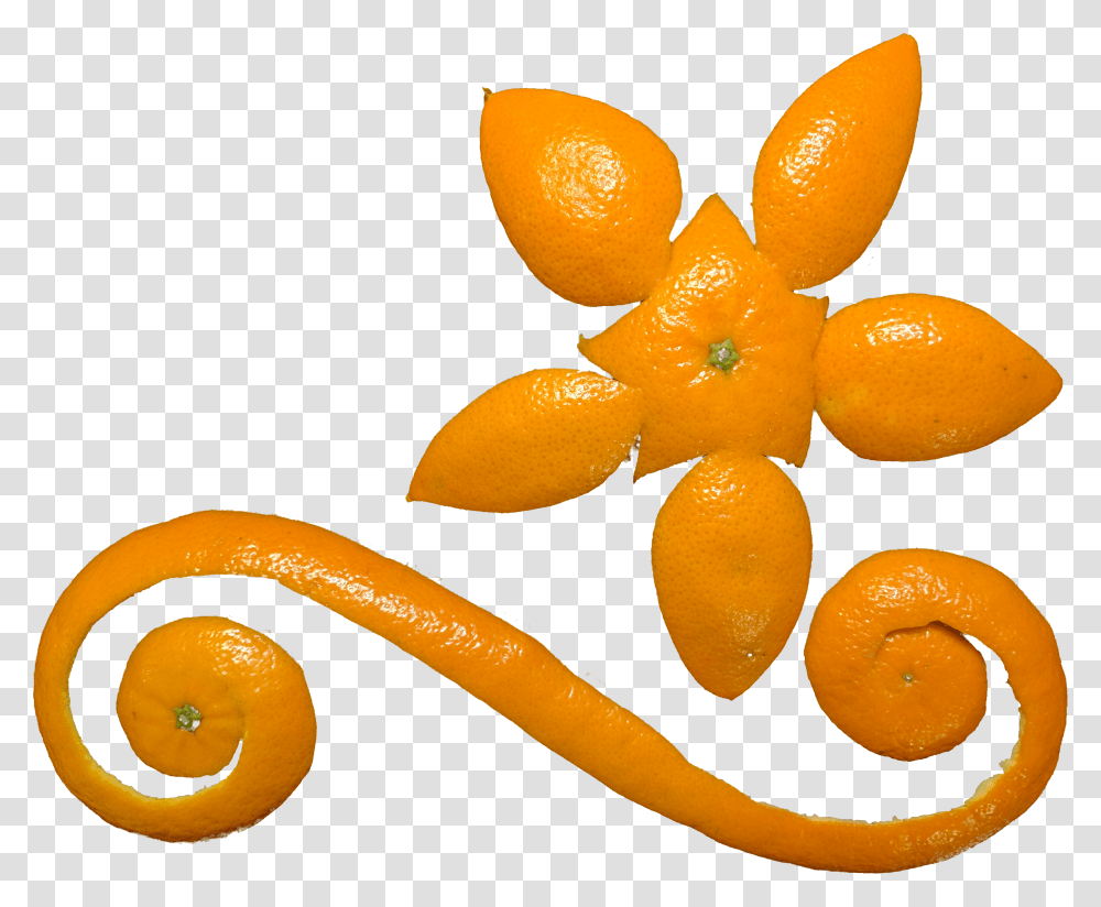 Creative Orange Peel Design, Plant, Food, Fruit, Produce Transparent Png