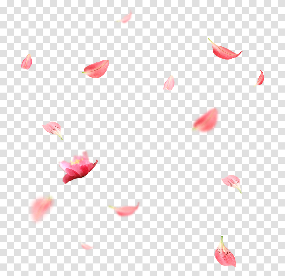 Creative Wedding Petals Falling Download Cherry Blossom Petals, Paper, Origami, Confetti Transparent Png