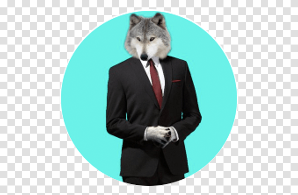 Creator Spotlight Sickofwolves - Teespring Community Wolf In Suit, Clothing, Mammal, Animal, Person Transparent Png