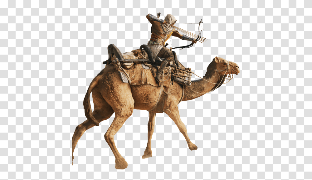Creed Origens, Horse, Mammal, Animal, Camel Transparent Png