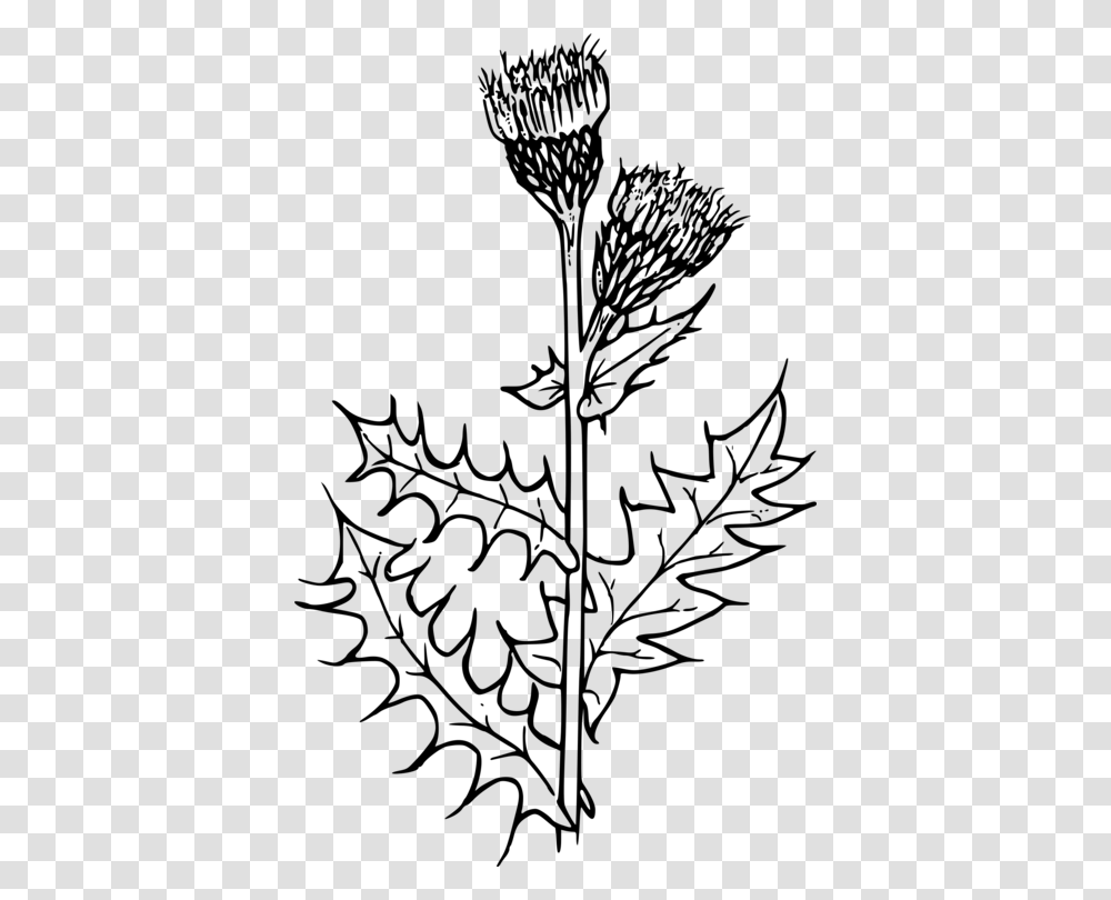 Creeping Thistle Drawing Flower Milk Thistle Thistle Black And White, Gray, World Of Warcraft Transparent Png