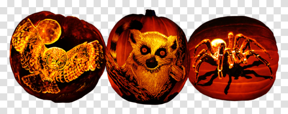 Creepy Critter Pumpkins Jack O Lantern, Lighting, Snake, Animal, Diwali Transparent Png