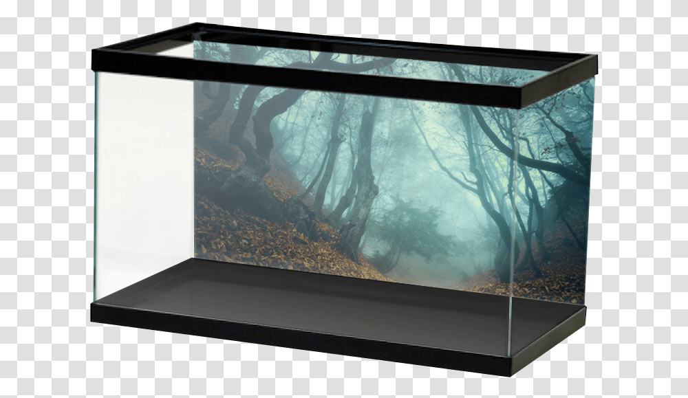 Creepy Forest River Rock Aquarium Background, Screen, Electronics, Monitor, Display Transparent Png