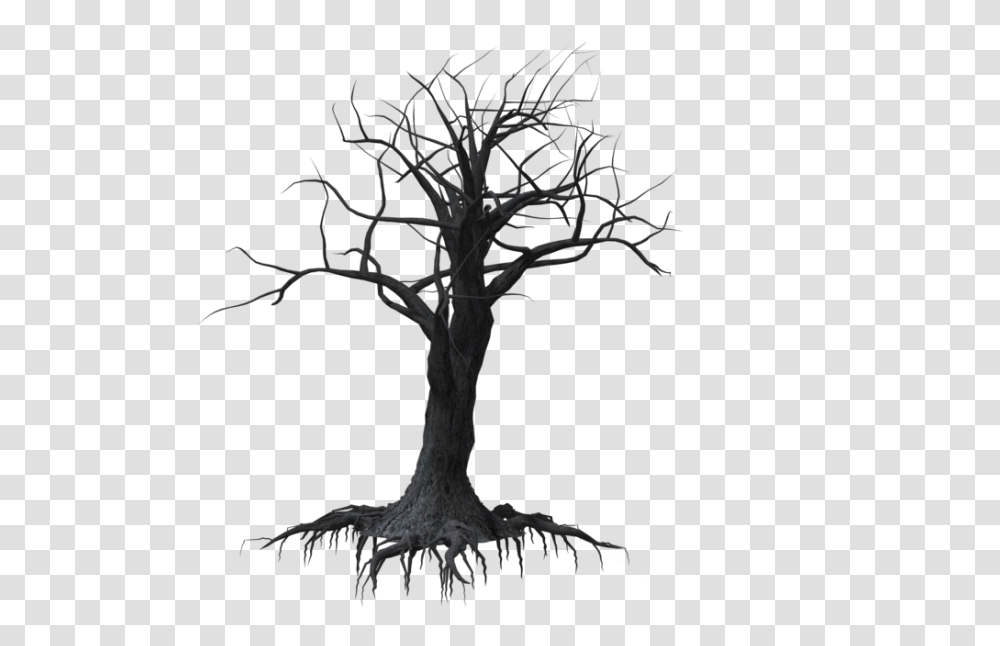 Creepy Tree Drawing Creepy Tree, Plant, Root, Cross Transparent Png