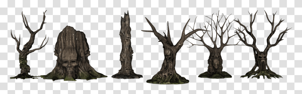 Creepy Trees, Wood, Plant, Root, Outdoors Transparent Png