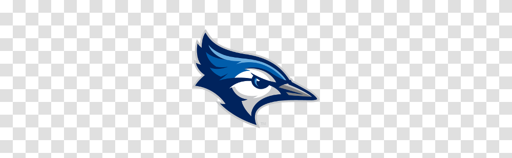 Creighton Bluejays Alternate Logo Sports Logo History, Bird, Animal, Blue Jay, Bluebird Transparent Png