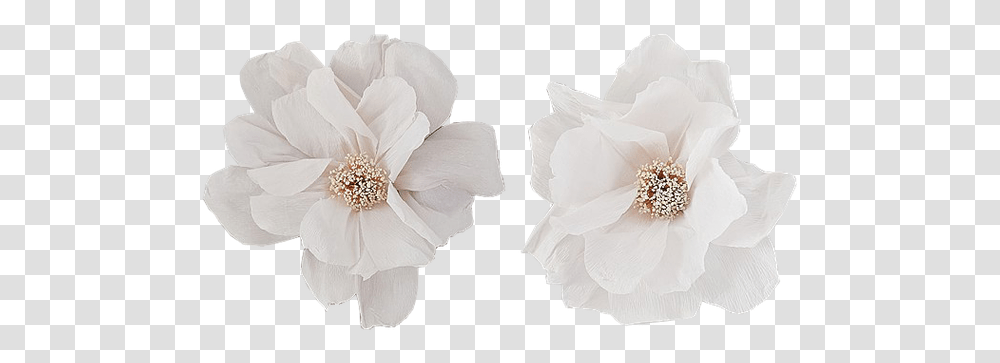 Crepe Paper Flower Decor Set Of 2 Crepe Paper Wall Flowers White, Plant, Petal, Blossom, Anemone Transparent Png