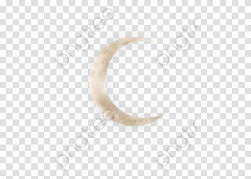 Crescent Brain Loading, Nature, Outdoors, Screw Transparent Png