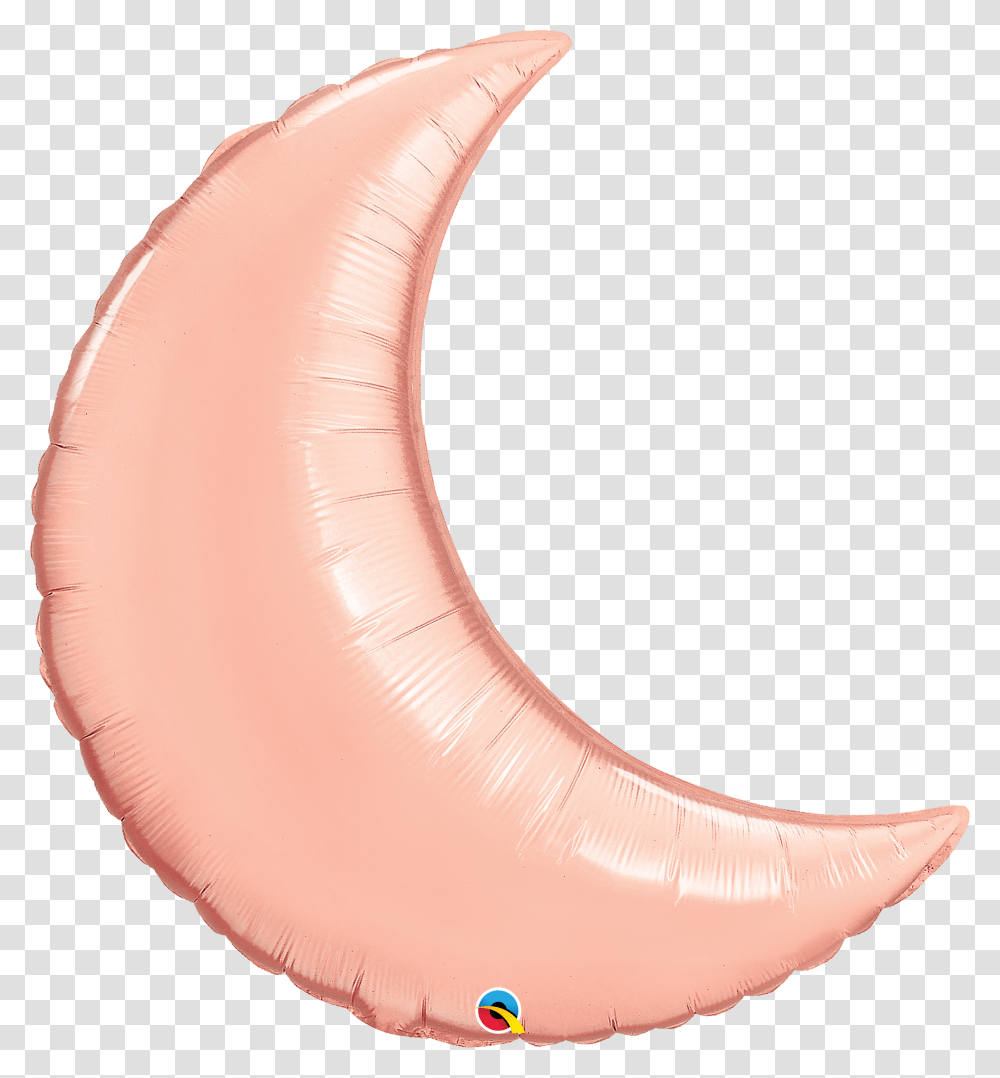 Crescent Moon, Stomach, Animal, Worm, Invertebrate Transparent Png