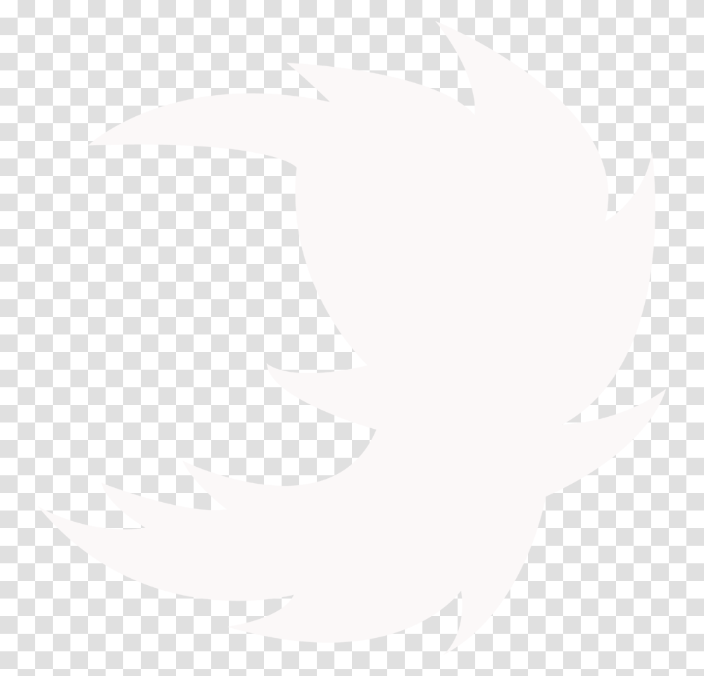 Crescent, White, Texture, White Board, Page Transparent Png