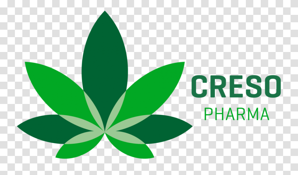 Creso Pharma, Leaf, Plant, Green Transparent Png