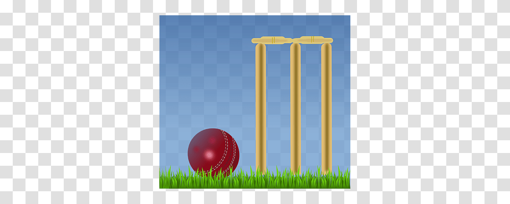 Cricket Sport, Ball, Sphere, Balloon Transparent Png