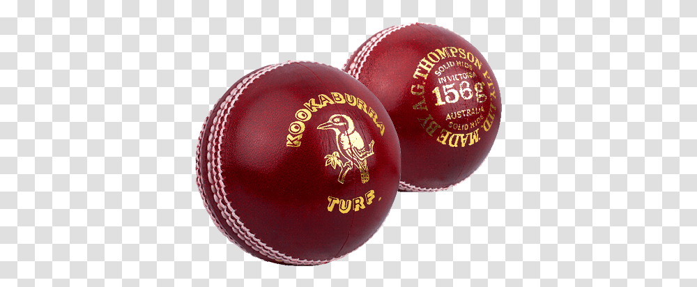 Cricket Ball And Bat In, Balloon Transparent Png