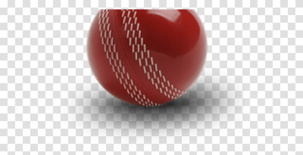Cricket Ball Images Cricket, Sphere, Sport, Sports Transparent Png