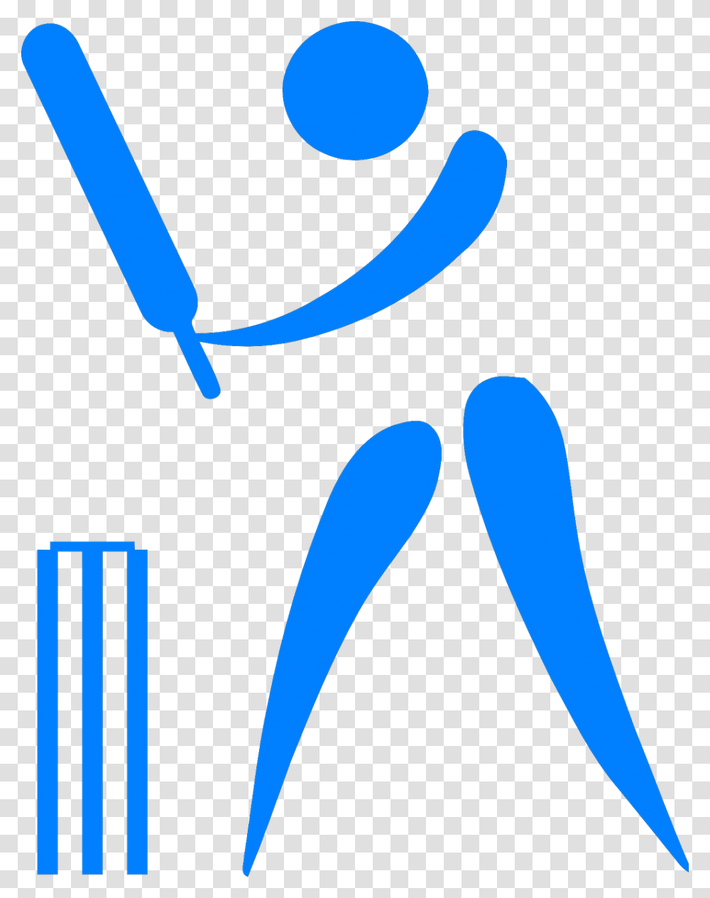 Cricket Batting Shots Tips, Label, Logo Transparent Png