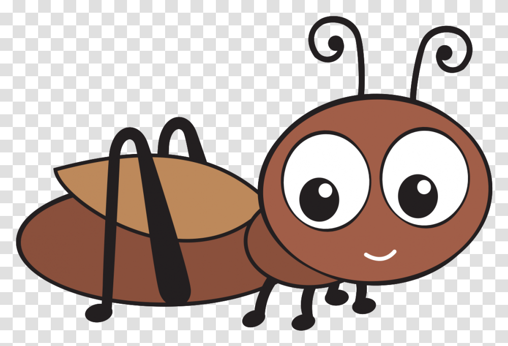 Cricket Bug Icon Clipart Download, Animal, Plant, Invertebrate, Grain Transparent Png