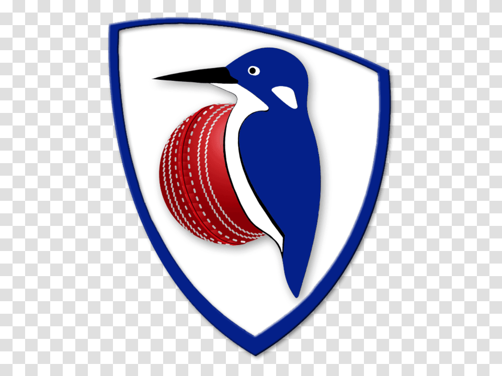Cricket Clipart Cricket Coach Emblem, Armor, Bird, Animal, Shield Transparent Png