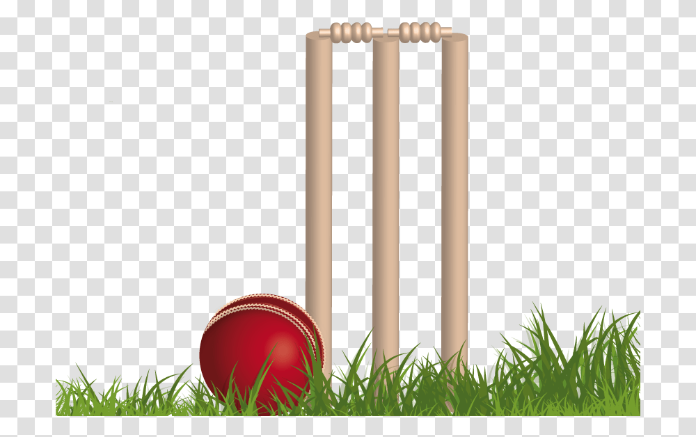 Cricket, Croquet, Sport, Sports, Grass Transparent Png