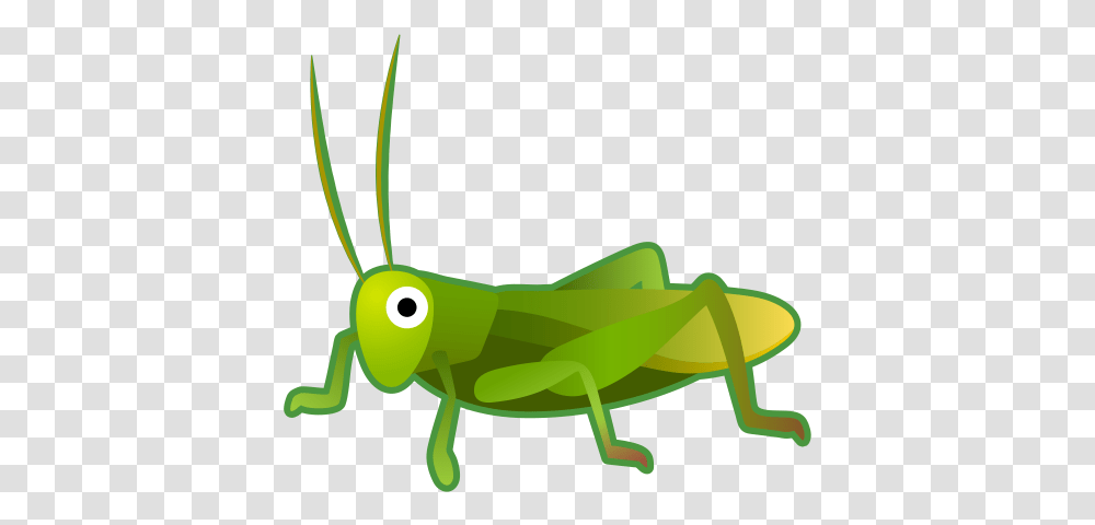 Cricket Icon Noto Emoji Animals Nature Iconset Google Android Cricket Emoji, Toy, Grasshopper, Insect, Invertebrate Transparent Png