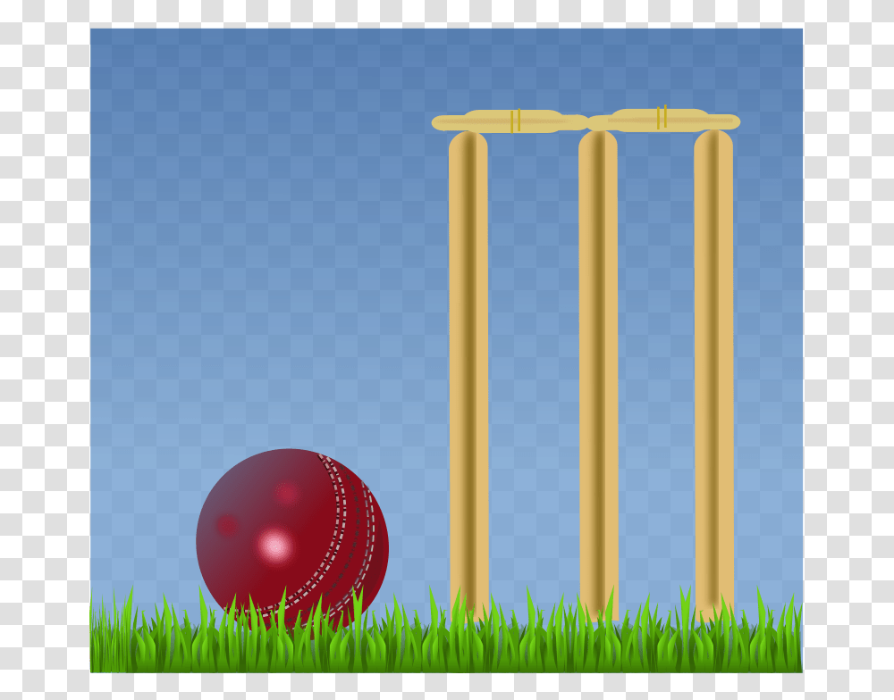 Cricket Illustration, Sport, Ball, Sphere, Pillar Transparent Png