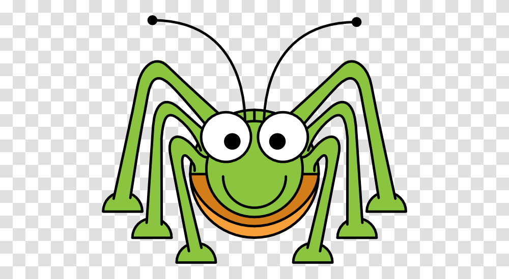 Cricket Insect Clipart, Animal, Invertebrate, Drawing Transparent Png