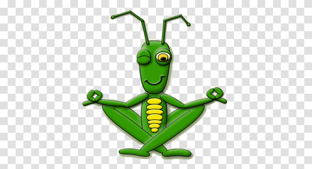 Cricket Insect Clipart, Green, Animal, Invertebrate, Grasshopper Transparent Png