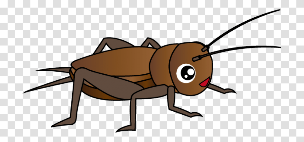 Cricket Insect Clipart, Invertebrate, Animal, Grasshopper, Grasshoper Transparent Png
