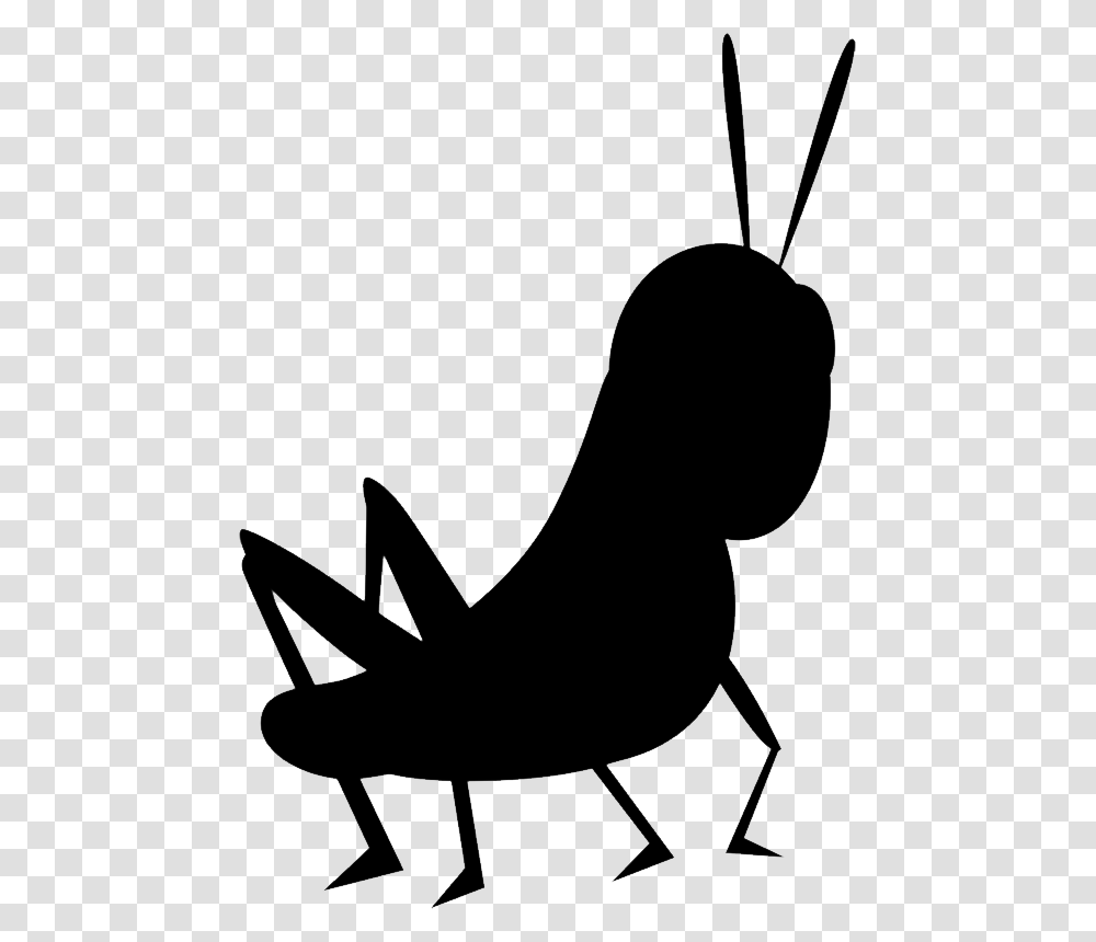 Cricket Insect, Silhouette, Stencil, Bird Transparent Png