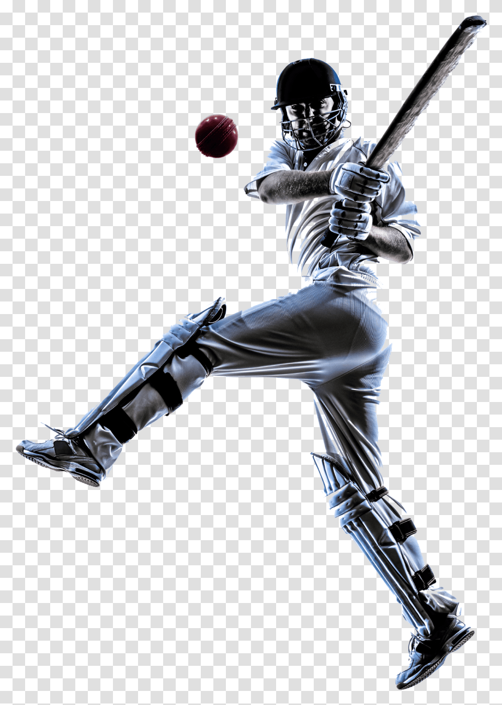 Cricket Player Congratulations For Winning Match, Person, Helmet, People Transparent Png