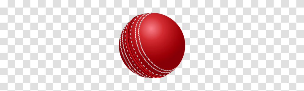 Cricket, Sport, Ball, Balloon Transparent Png